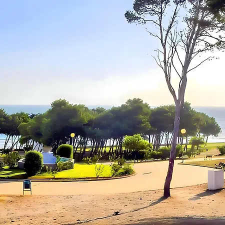 Junto Al Mar Con Piscina Y Wi-fi Gratis - Es-180-73 * Conil De La Frontera